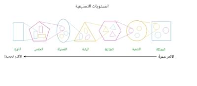 فهم التصنيف العلمي للكائنات الحية وقواعد كتابة أسمائها